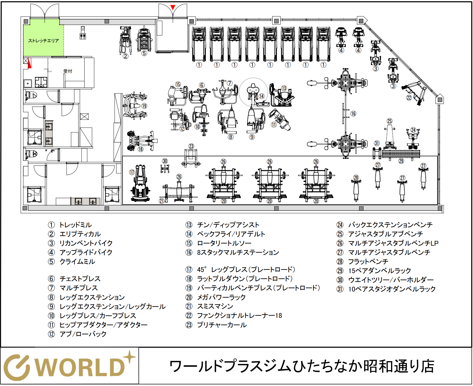 （ひたちなか昭和通り店|茨城県ひたちなか市のフィットネスジム）